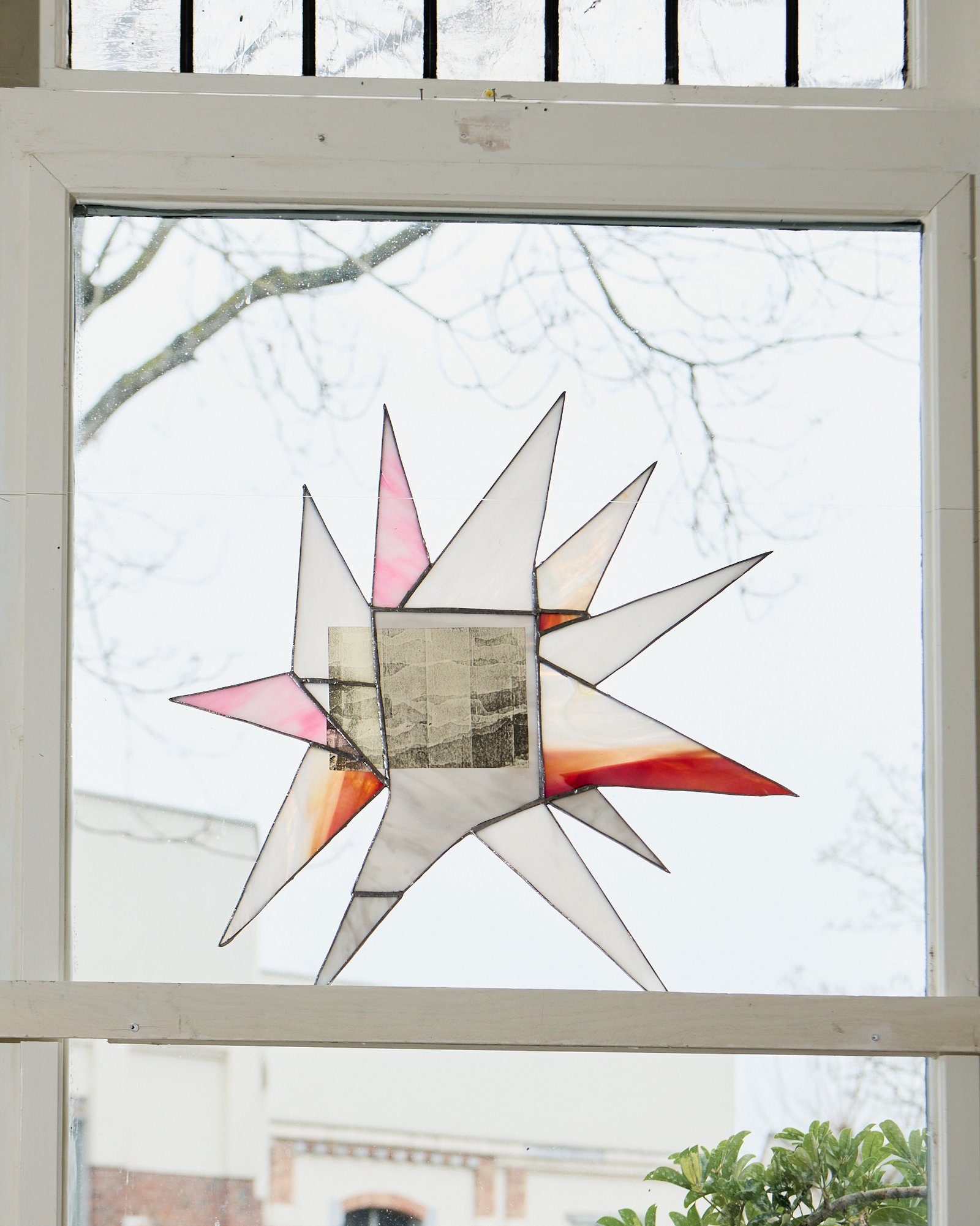 Stella image 3